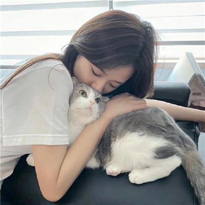 狗仔杜宾