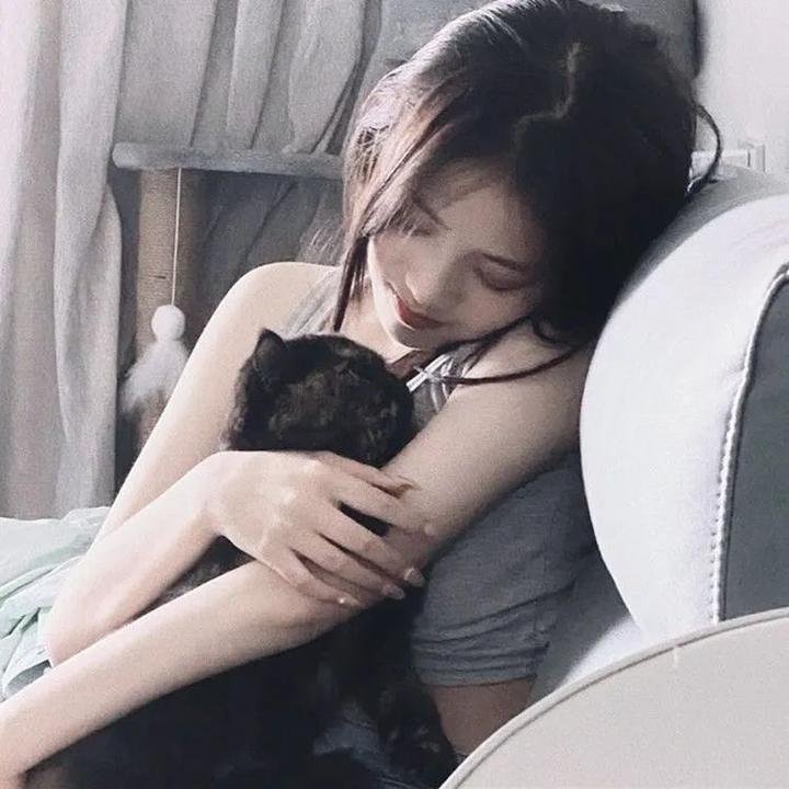 唐琅探案