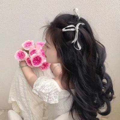 布里叶女士